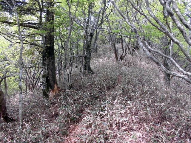 nakatu099.jpg