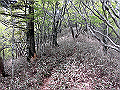 nakatu099_thumb.png