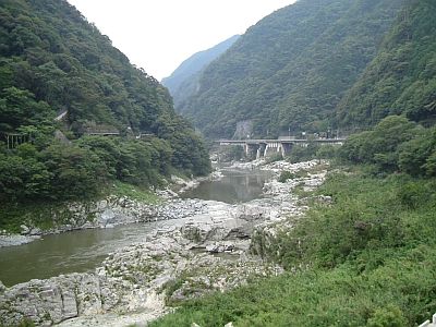 noga01.jpg