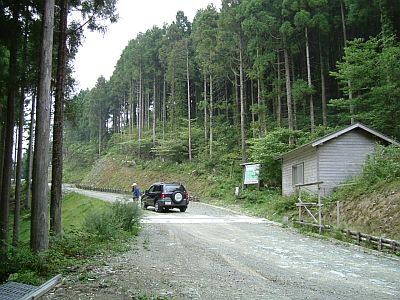 noga03.jpg