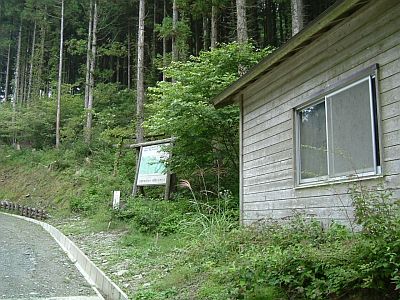 noga04.jpg
