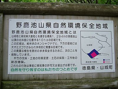 noga10.jpg