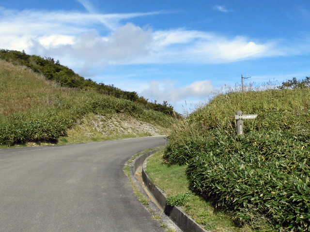 sagar005.jpg