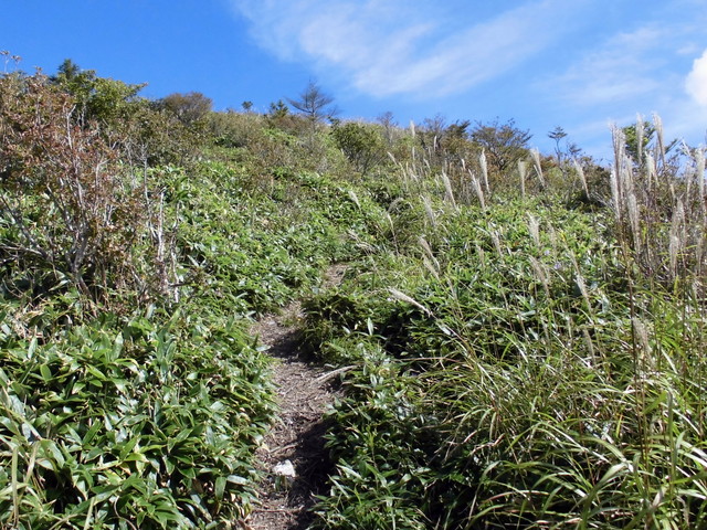 sagar011.jpg