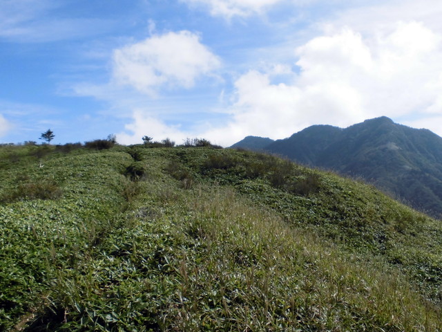 sagar016.jpg