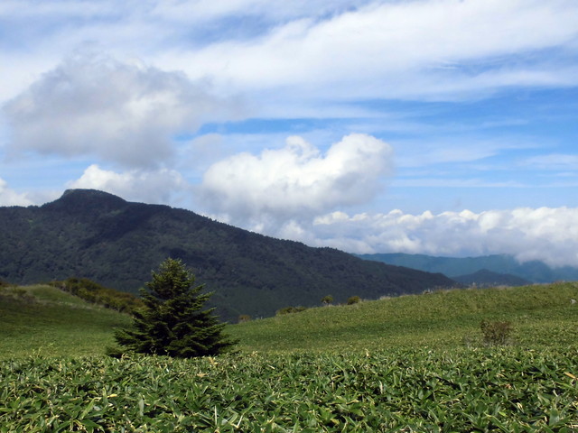 sagar018.jpg
