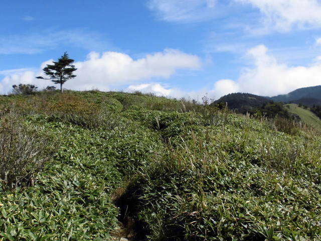 sagar020.jpg
