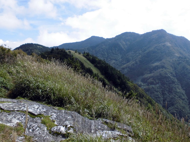 sagar022.jpg