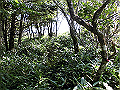 sagar025_thumb.png