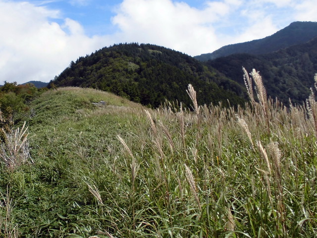 sagar029.jpg