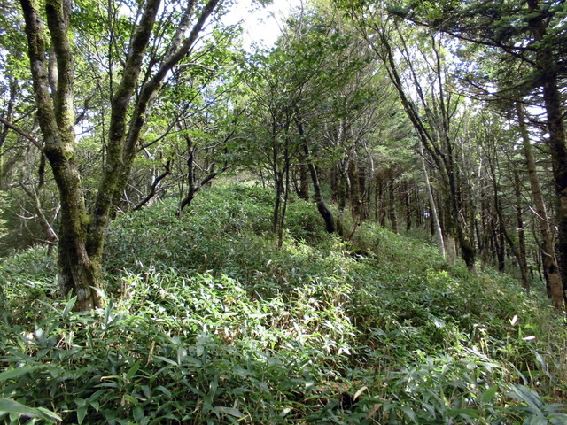 sagar033.jpg