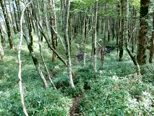 sagar035.jpg