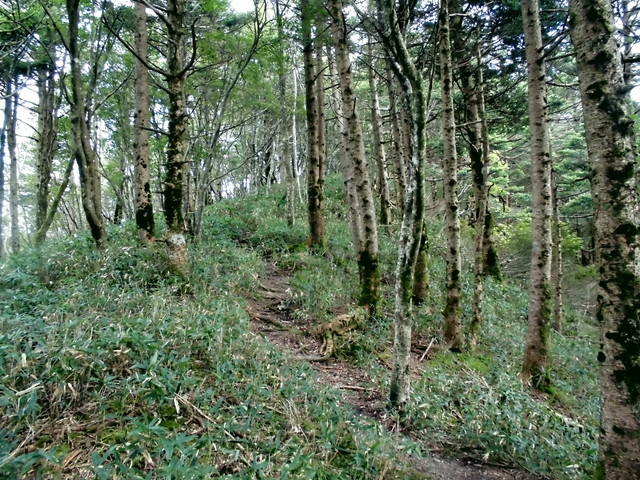 sagar036.jpg