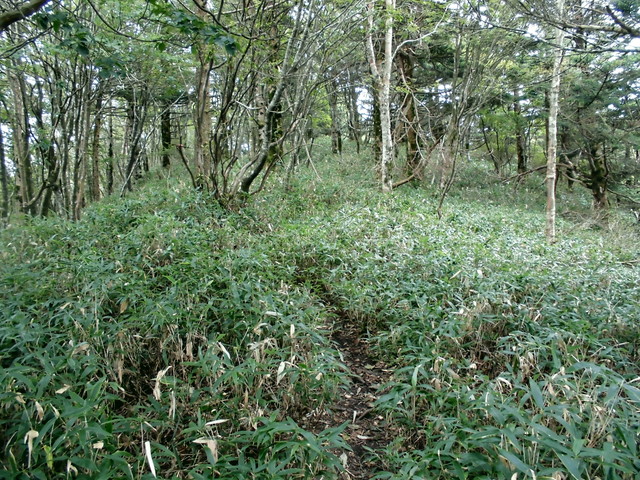 sagar037.jpg