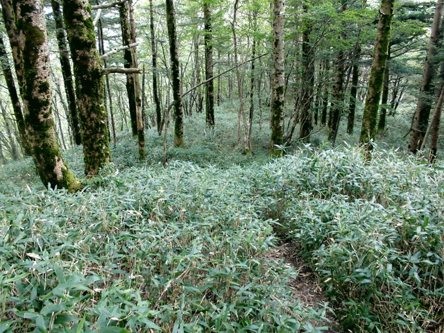 sagar041.jpg