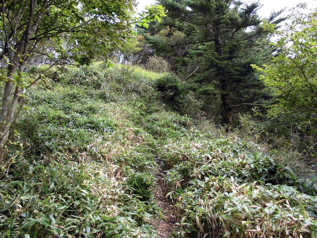 sagar042.jpg