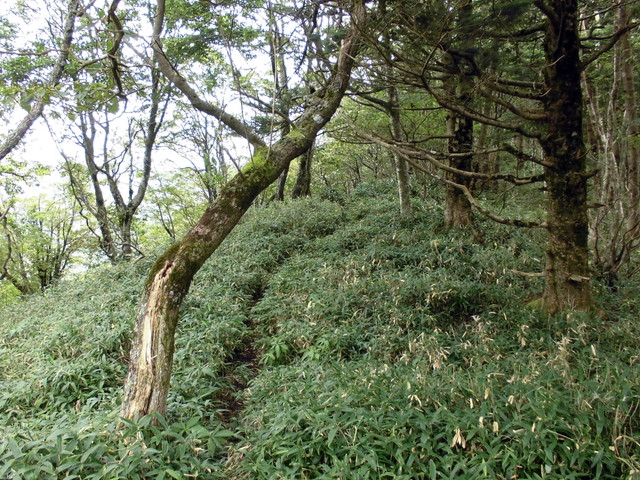 sagar043.jpg