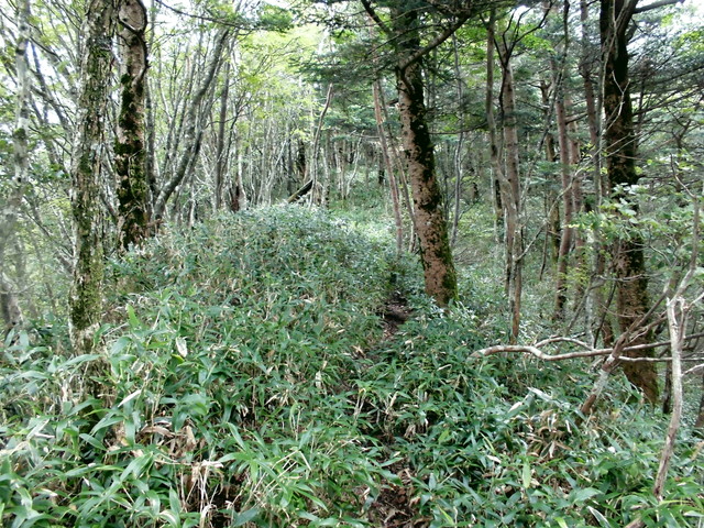 sagar044.jpg