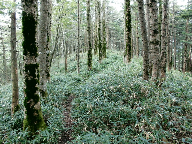 sagar045.jpg