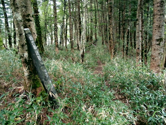 sagar046.jpg