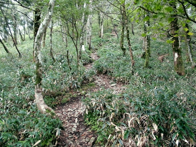 sagar049.jpg