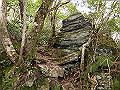 sagar051_thumb.png