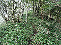 sagar052_thumb.png