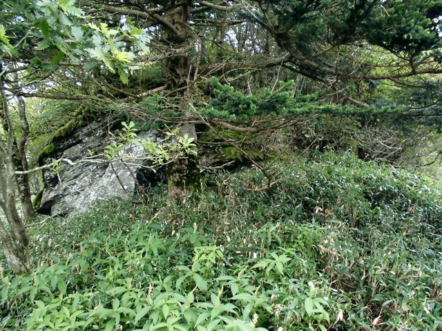 sagar056.jpg