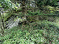 sagar056_thumb.png