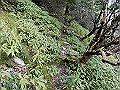 sagar059_thumb.png