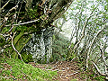 sagar060_thumb.png