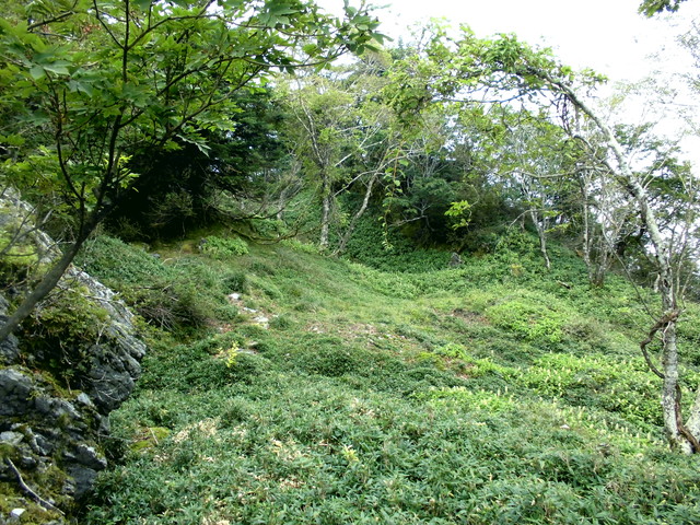 sagar061.jpg