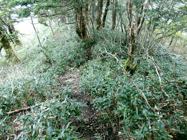 sagar063.jpg