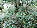 sagar063_thumb.png