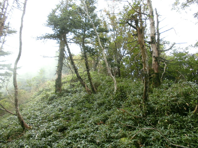 sagar065.jpg