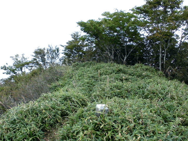 sagar069.jpg