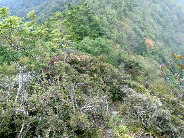 sagar070.jpg