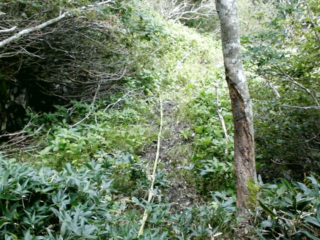 sagar071.jpg