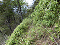 sagar072_thumb.png