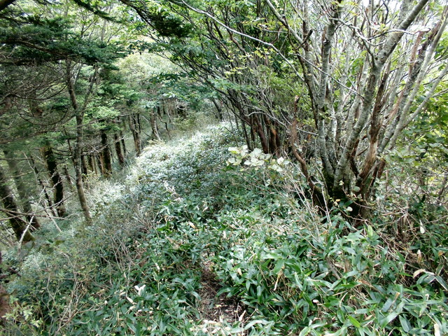 sagar073.jpg