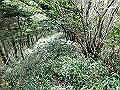 sagar073_thumb.png
