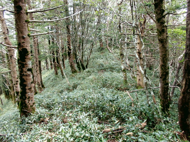 sagar074.jpg