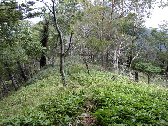 sagar079.jpg