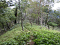 sagar079_thumb.png