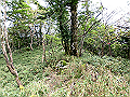 sagar080_thumb.png