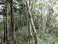 sagar081_thumb.png