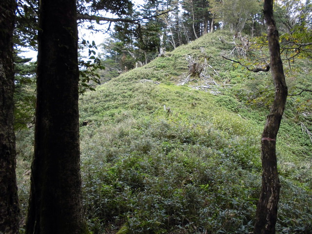 sagar083.jpg