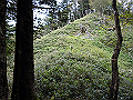 sagar083_thumb.png