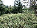 sagar085_thumb.png