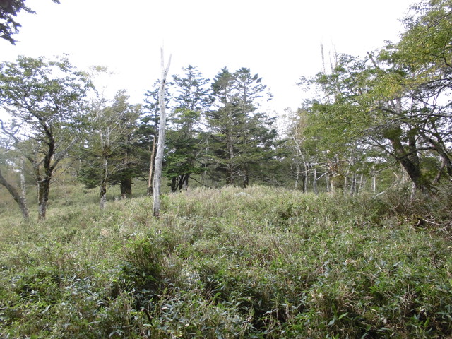 sagar086.jpg